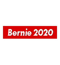 Bernie Sanders 2020 T-shirts