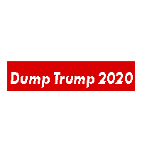 Dump Trump 2020 T-shirts