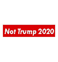 Not Trump 2020 T-shirts