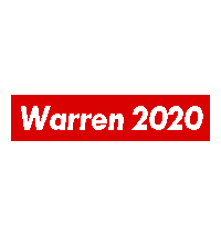 Elizabeth Warren 2020 T-shirts